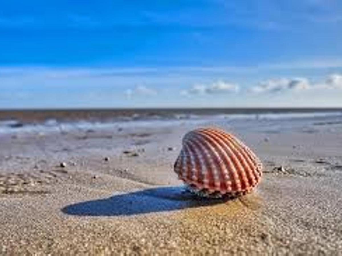 Pass The Keys Fabulous Beach Front Holiday Location Lydd Eksteriør billede